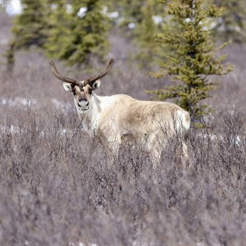 Photo #10473349