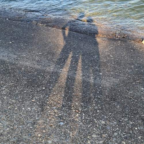 Photo #10473377