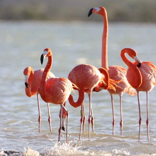 Photo #10473456