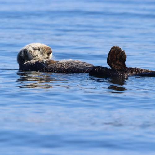 Photo #10473465