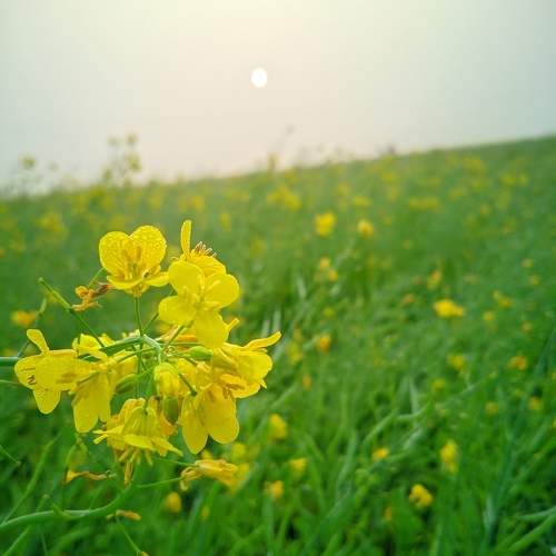 Photo #10473534