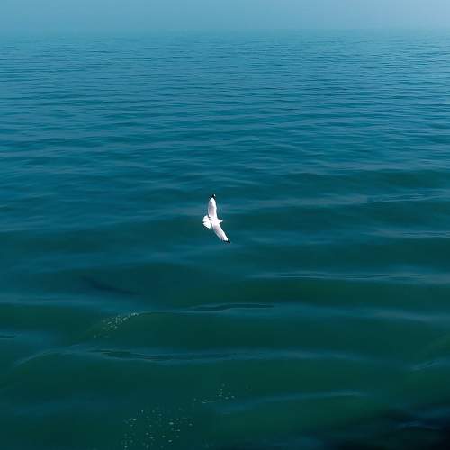 Peace
