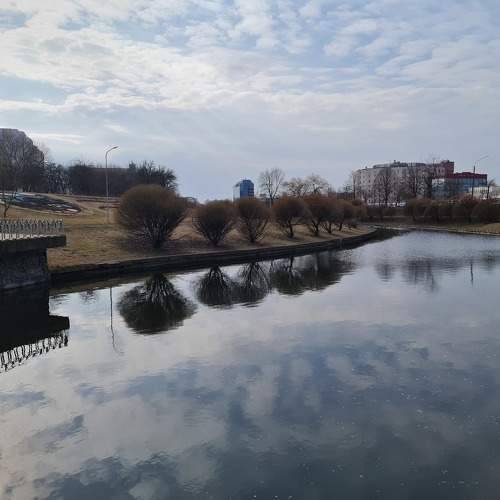 Photo #10473773