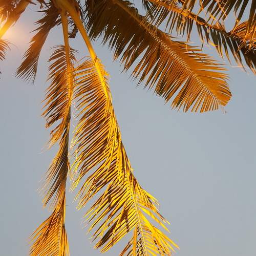 Photo #10474296