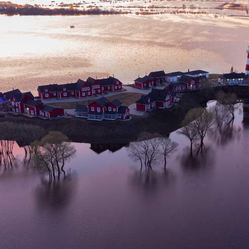 Photo #10474391