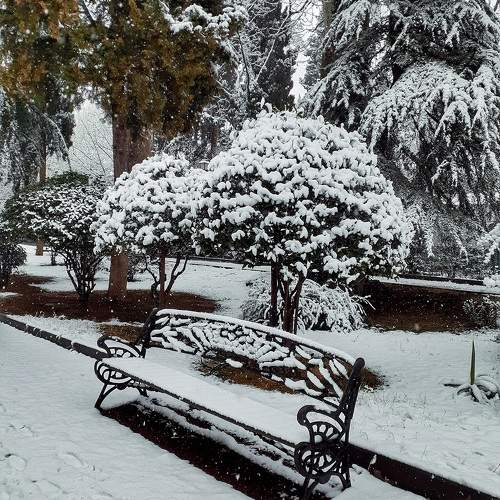 Photo #10474436