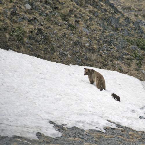 Photo #10475084