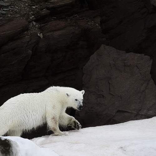 Photo #10475204