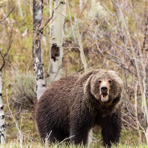Photo #10475207