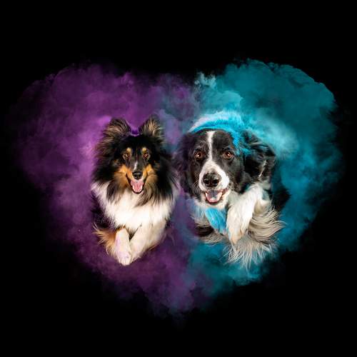 Photo #10475357
