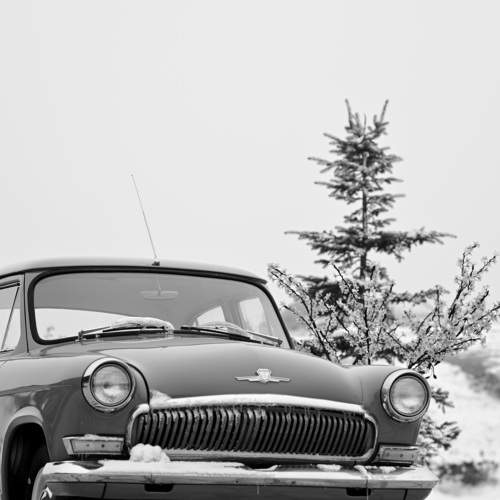 Photo #10476023