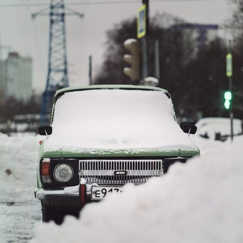 Photo #10476031