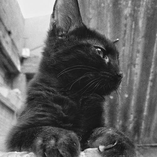 Photo #10476050