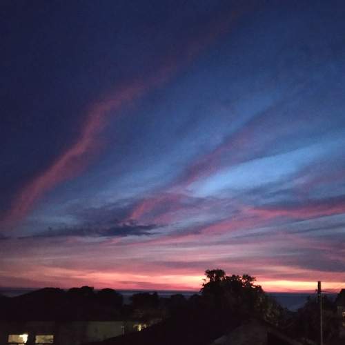 Photo #10476391