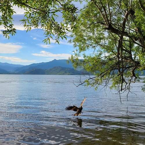 Photo #10476577