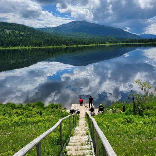 Photo #10476599
