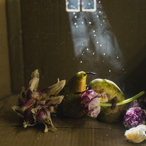 Photo #10476632