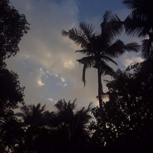 Photo #10476956