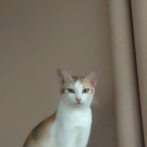 Photo #10476963