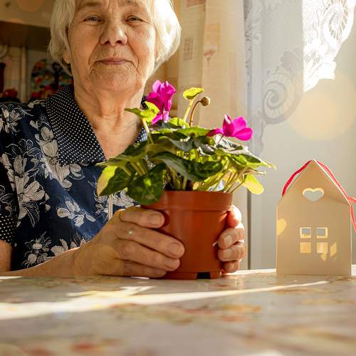 Photo #10477228