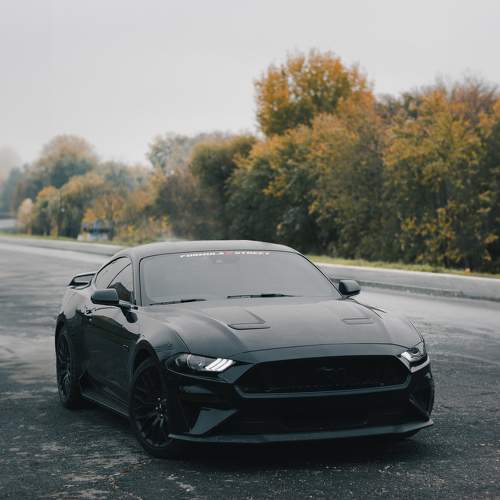 Photo #10478438