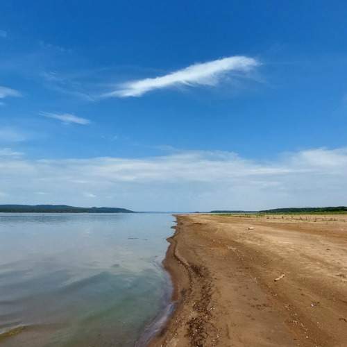 Photo #10478448