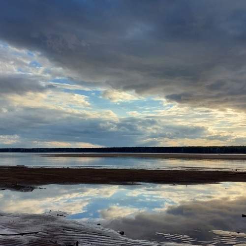 Photo #10478464