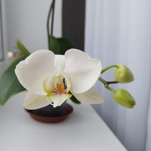 Photo #10478698