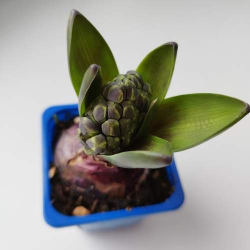Photo #10478705