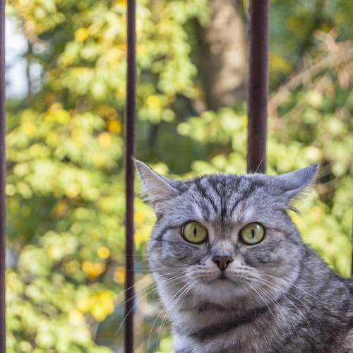 Photo #10478835