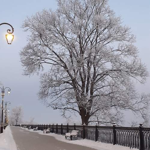 Photo #10478925