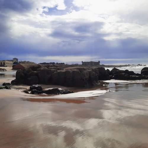 Photo #10479107