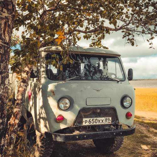 Photo #10479405