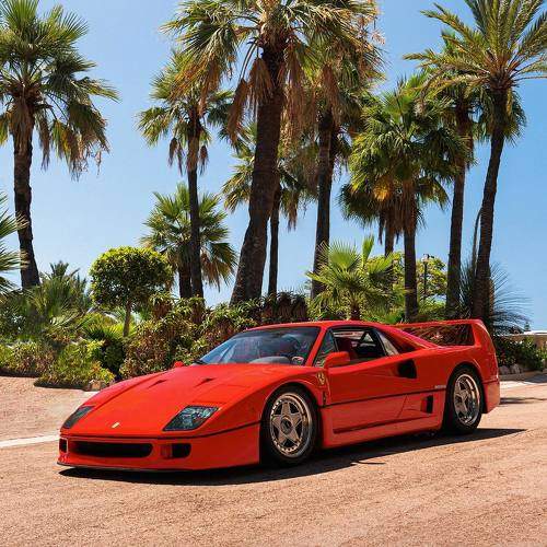 Фотография #10479478