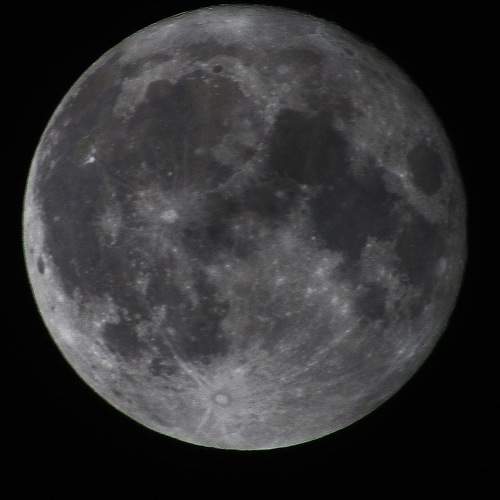 Photo #10479549