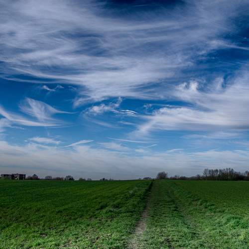 Photo #10480581