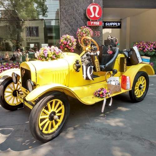 Photo #10481215