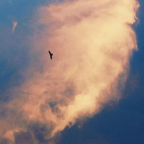 Photo #10481976