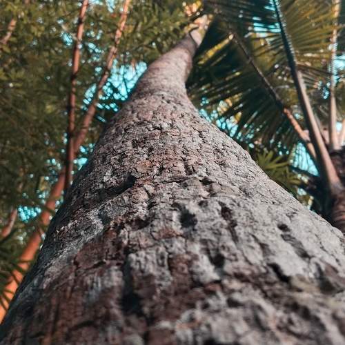 Photo #10481990