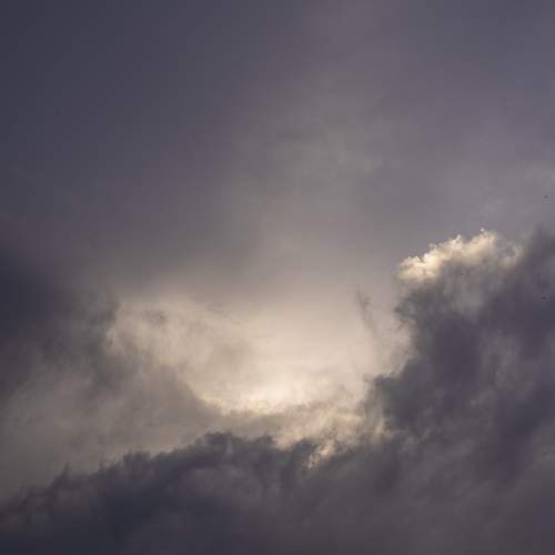 Photo #10482030