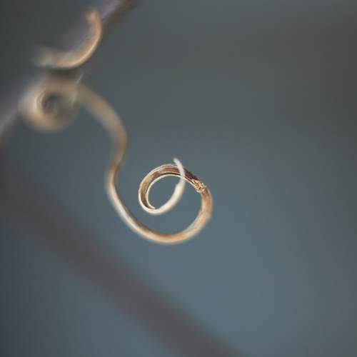 Photo #10482237
