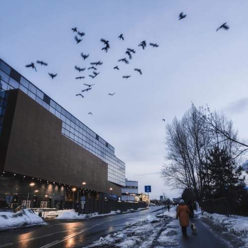 Photo #10482331