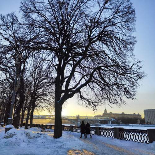 Photo #10482332