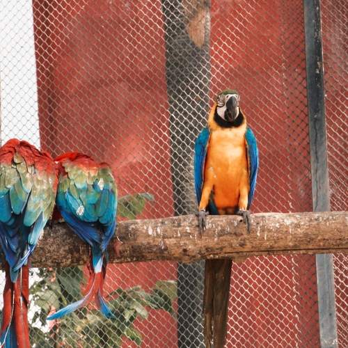 Photo #10482378