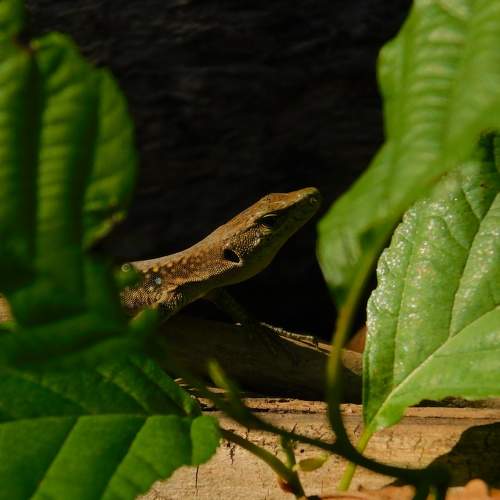 Photo #10482711