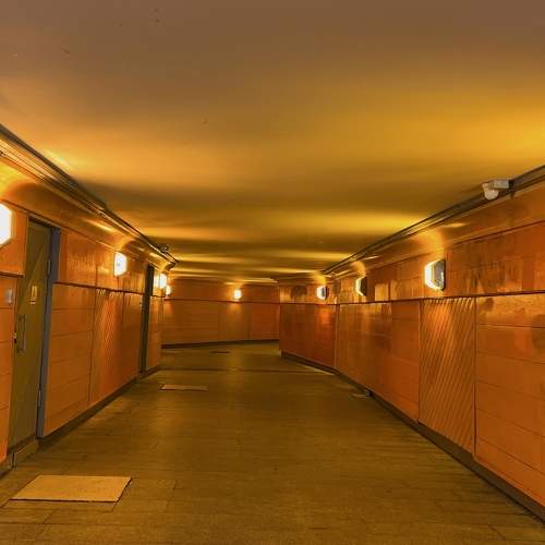 Photo #10482719