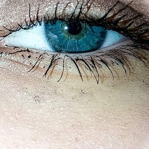 Photo #10482767