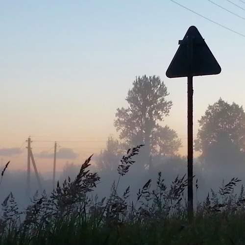 Photo #10482853
