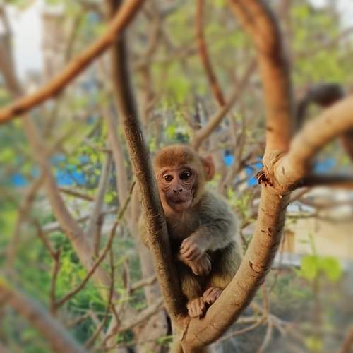 Photo #10483114