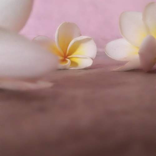 Photo #10483272